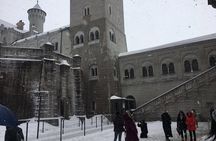 Winter Tour to Neuschwanstein Castle from Munich