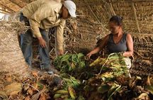 Higuey City Tour from Punta Cana