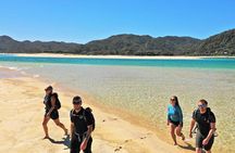 3 Day Abel Tasman Guided Kayak & Walk - Nelson