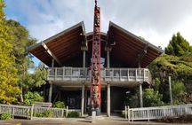 Coast and Rainforest Eco-Tour from Auckland with Lunch
