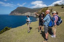 Maria Island Active Day Tour from Hobart