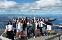 Mt Field, Mt Wellington & Tassie Devils Active Tour from Hobart