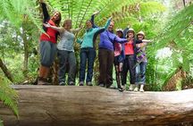 Mt Field, Mt Wellington & Tassie Devils Active Tour from Hobart