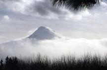 Mt Hood Waterfall Tour with Lunch and Wine Tasting