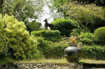 Bentota Sightseeings in One Day All Covered