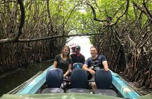 Bentota Sightseeings in One Day All Covered