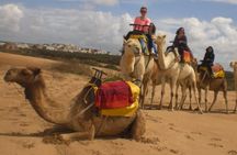 Camel Ride on the Beach of Essaouira