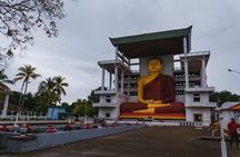 Wild Wonders & Hidden Temples from Hikkaduwa (2 Days)