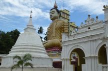 Wild Wonders & Hidden Temples from Hikkaduwa (2 Days)