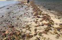 Afternoon Hiking Tour Sharp Island Geopark