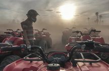 Marrakech Desert and Palm Grove Quad Bike Tour