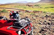Marrakech Desert and Palm Grove Quad Bike Tour