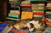 Secret Venice: Palazzo Grimani and hidden corners of Venice