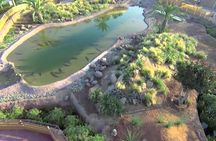 Visite the Crocodiles Park and Botanic garden