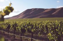 Private Cape Winelands Wine Tasting Tour