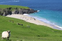 The Great Blasket Island Experience - Premium Tour