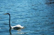 Lake Nicaragua Kayak Tour