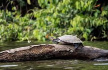 2 days 1 night - Tambopata Jungle