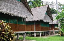 3 days 2 nights - Tambopata Jungle