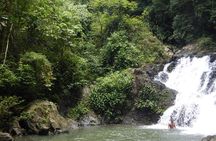 Full-Day Embera Village and Culture Tour from Panama City, Panama