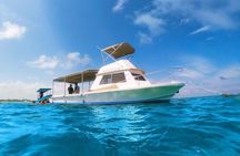 Reef Snorkeling in National Park from Cancun with Beachside Lunch