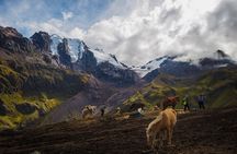 Full Day Tour to The Rainbow Mountain from Cusco by Horse
