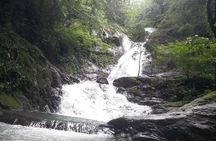 Mega Zipline over 11 Waterfalls from Puntarenas