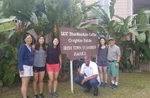 Blue Mountain Coffee Tour from Ocho Rios