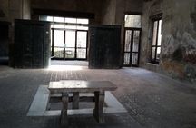 Tour in the ruins of Herculaneum with an archaeologist