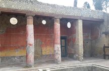 Tour in the ruins of Herculaneum with an archaeologist