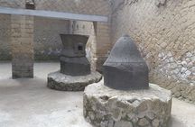 Tour in the ruins of Herculaneum with an archaeologist