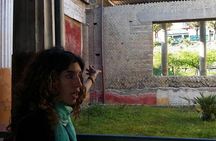 Tour in the villa of Poppea with an archaeologist