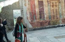 Tour in the villa of Poppea with an archaeologist