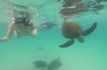 4-Day Galapagos Experience: Los Tuneles, Bay Tour + extra night