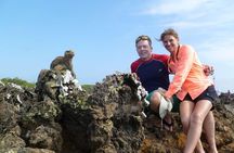 4-Day Galapagos Experience: Los Tuneles, Bay Tour + extra night