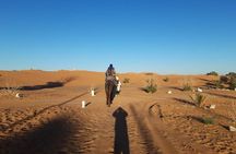 fes desert tours 3 days