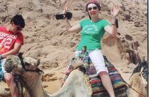 Camel ride in Sharm elsheikh desert