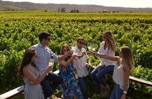 Pre or Post Valparaiso Cruise with Santiago City Tour and optional Vineyard