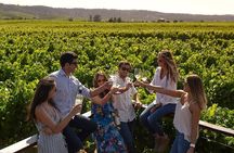 Pre or Post Valparaiso Cruise with Santiago City Tour and optional Vineyard