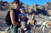 Camel ride in Sharm elsheikh desert