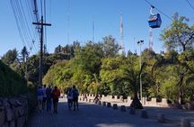 Private San Antonio Port Pre-Post Cruise Santiago City Tour and Undurraga Winery