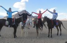 Horse riding in Sharm el sheikh desert