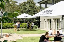 Tulloch Wines- Mystery Wine Tasting Experience with Local Cheese and Charcuterie