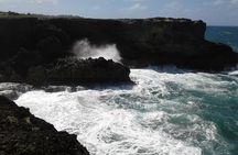 Highlights of Barbados Sightseeing Tour