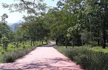Private Tour My Son Sanctuary- Unesco Heritage site-Early Start
