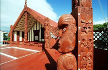 Best of Tauranga & Rotorua's Hidden Secrets - Shore Excursion