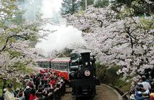 Two-day Sun Moon Lake & Alishan Forest Park Tour Package