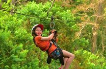 Mountain View Zip-line Tour