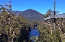 Tahune Airwalk & Hastings Cave Active Day Tour from Hobart