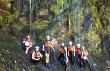 Rangitaiki River White Water Scenic Rafting from Rotorua